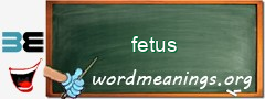 WordMeaning blackboard for fetus